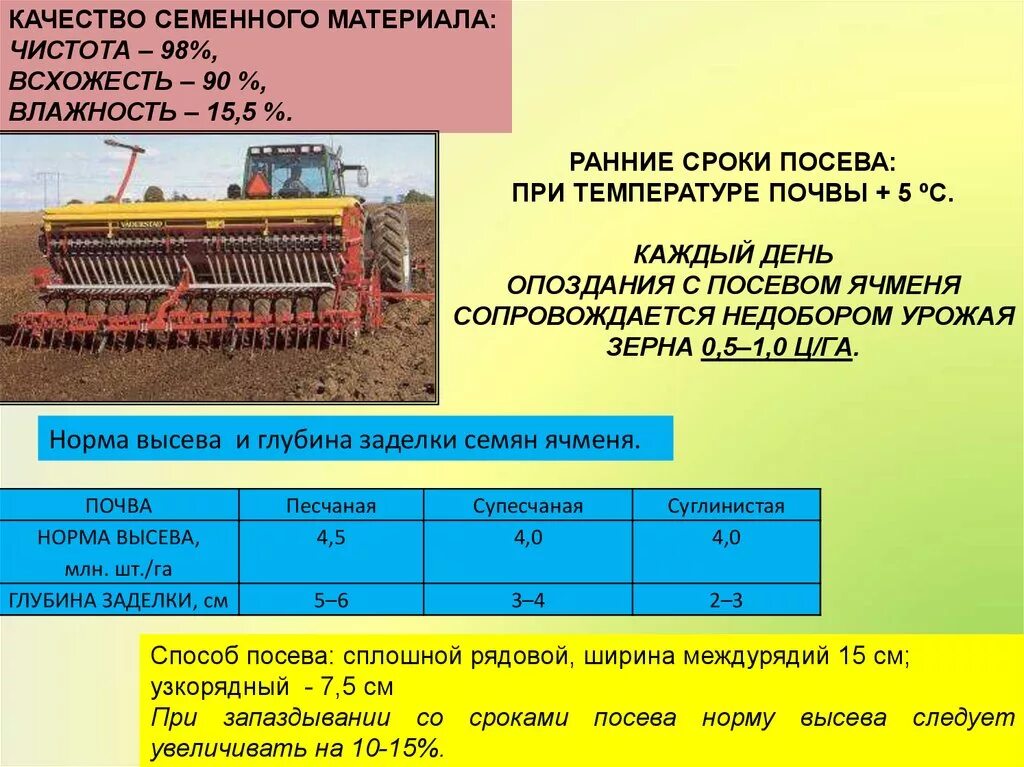 Глубина посадки семян ячменя. Способы посева ячменя. Сроки Сева ярового ячменя. Дата посева ячменя.