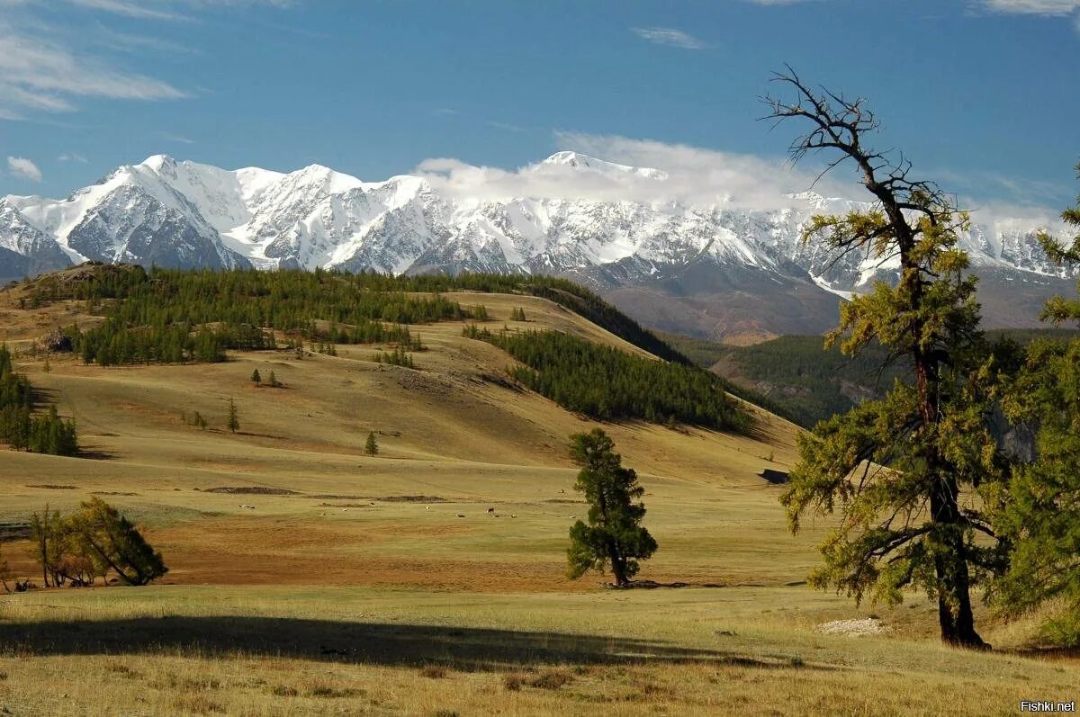 Климат республики алтай. Южная сибирь белуха. Климатическая карта республики алтай. Климат республики алтай карта. Климат горного алтая.