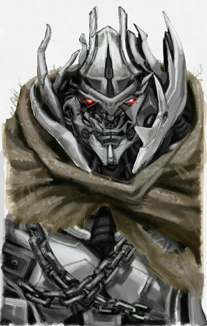 Megatron reader