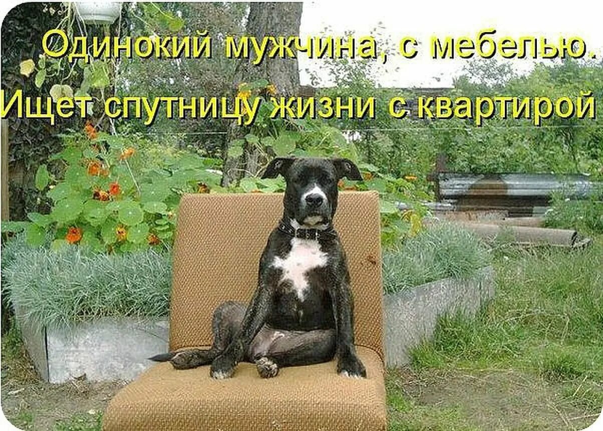 Приколы дня в картинках с надписями. Прикольные надписи. смешные картинки с надписями. картинки прикольные смешные с надписями. смешные картинки с надпися.