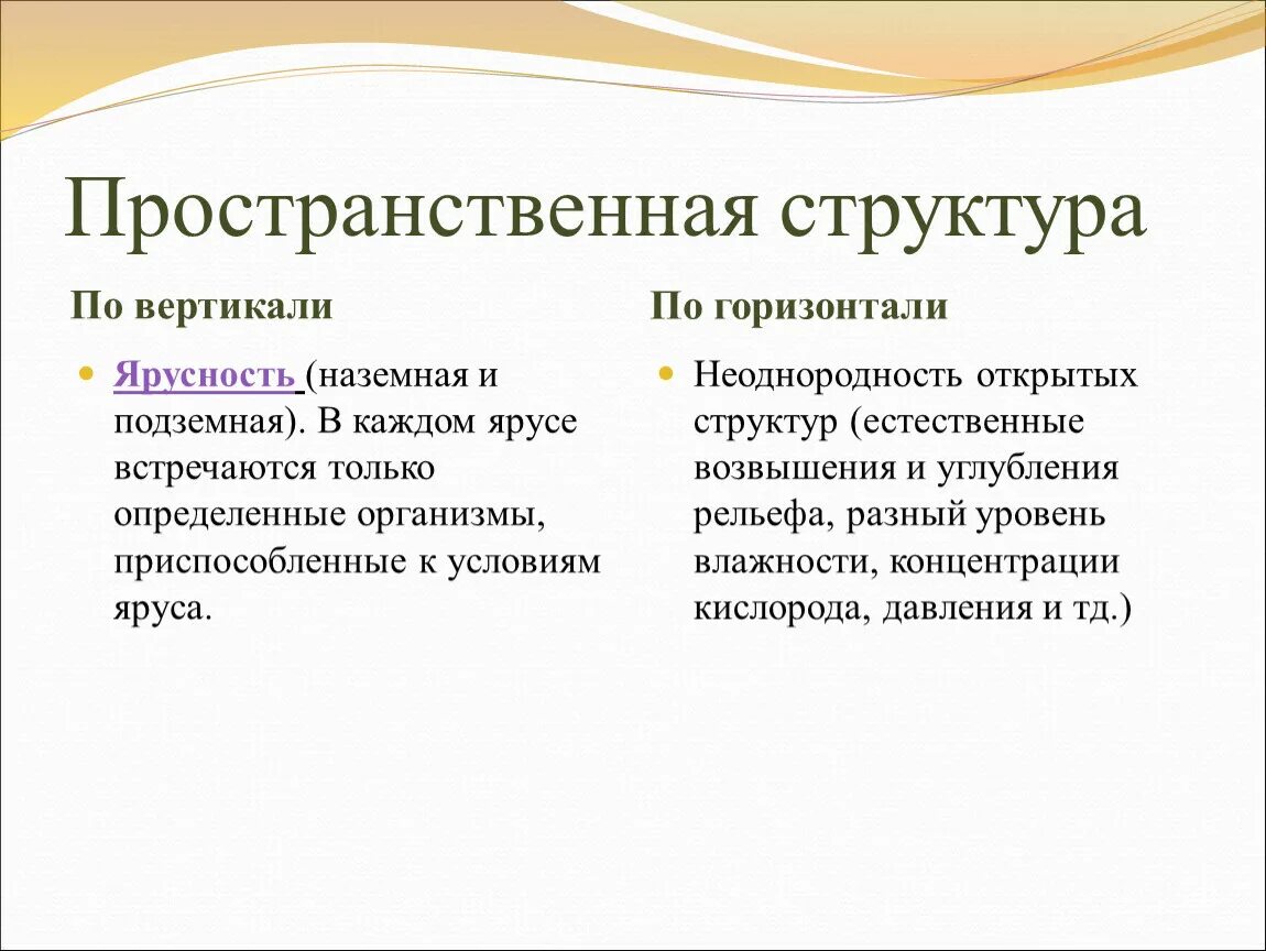 Пространственная структура сообщества по вертикали и горизонтали. Пространственная структура. Пространственная Экоструктура. Структура сообщества.