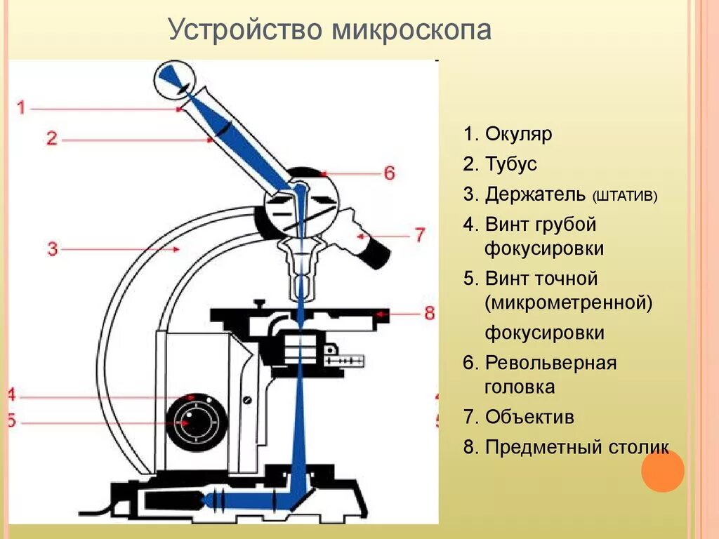 Значение строение микроскопа. Строение оптического микроскопа схема. строение светового монокулярного микроскопа. оптический микроскоп строение. световой микроскоп микробиология строение.