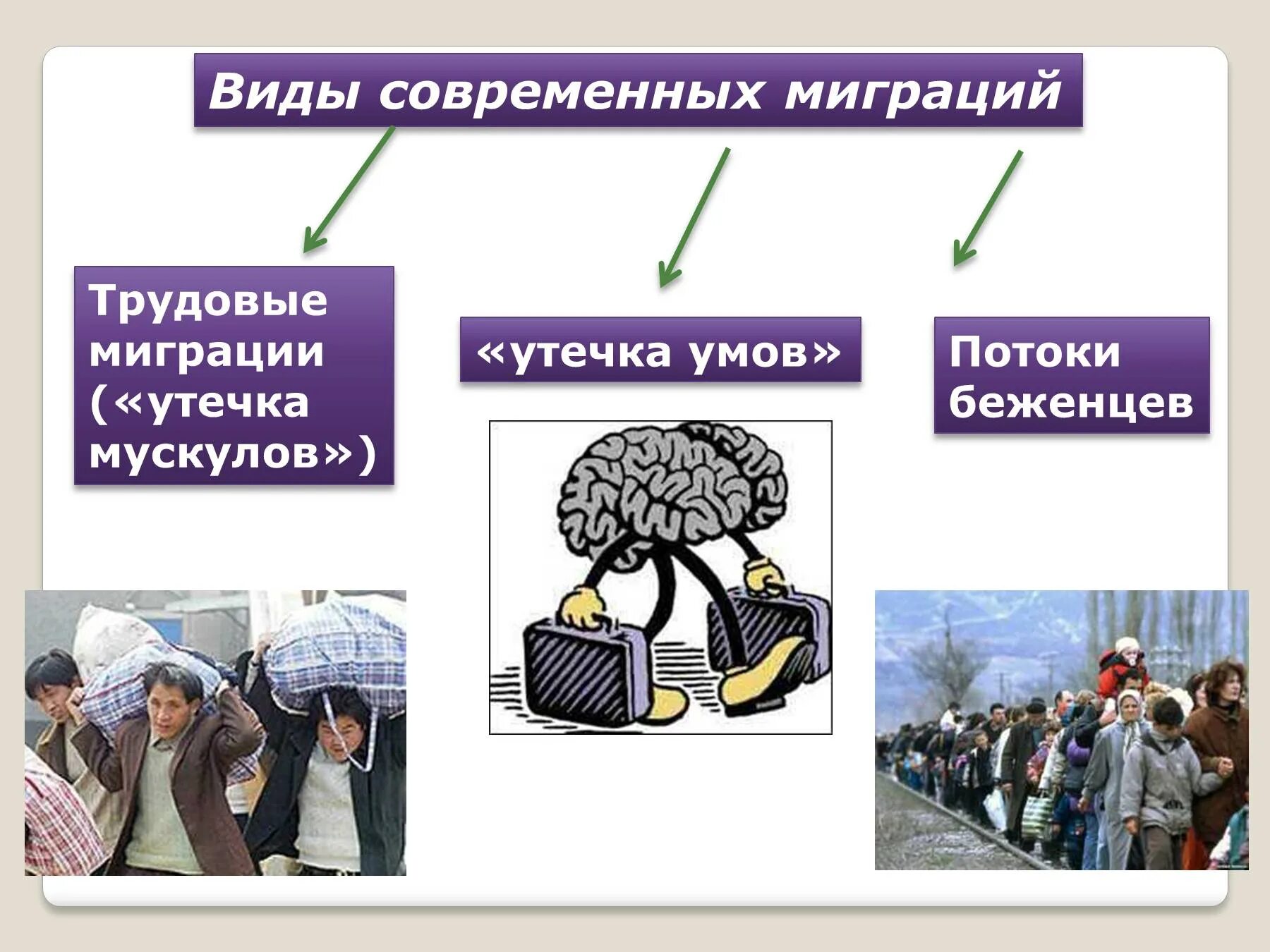 Утечкой умов называют. Утечкой умов называют