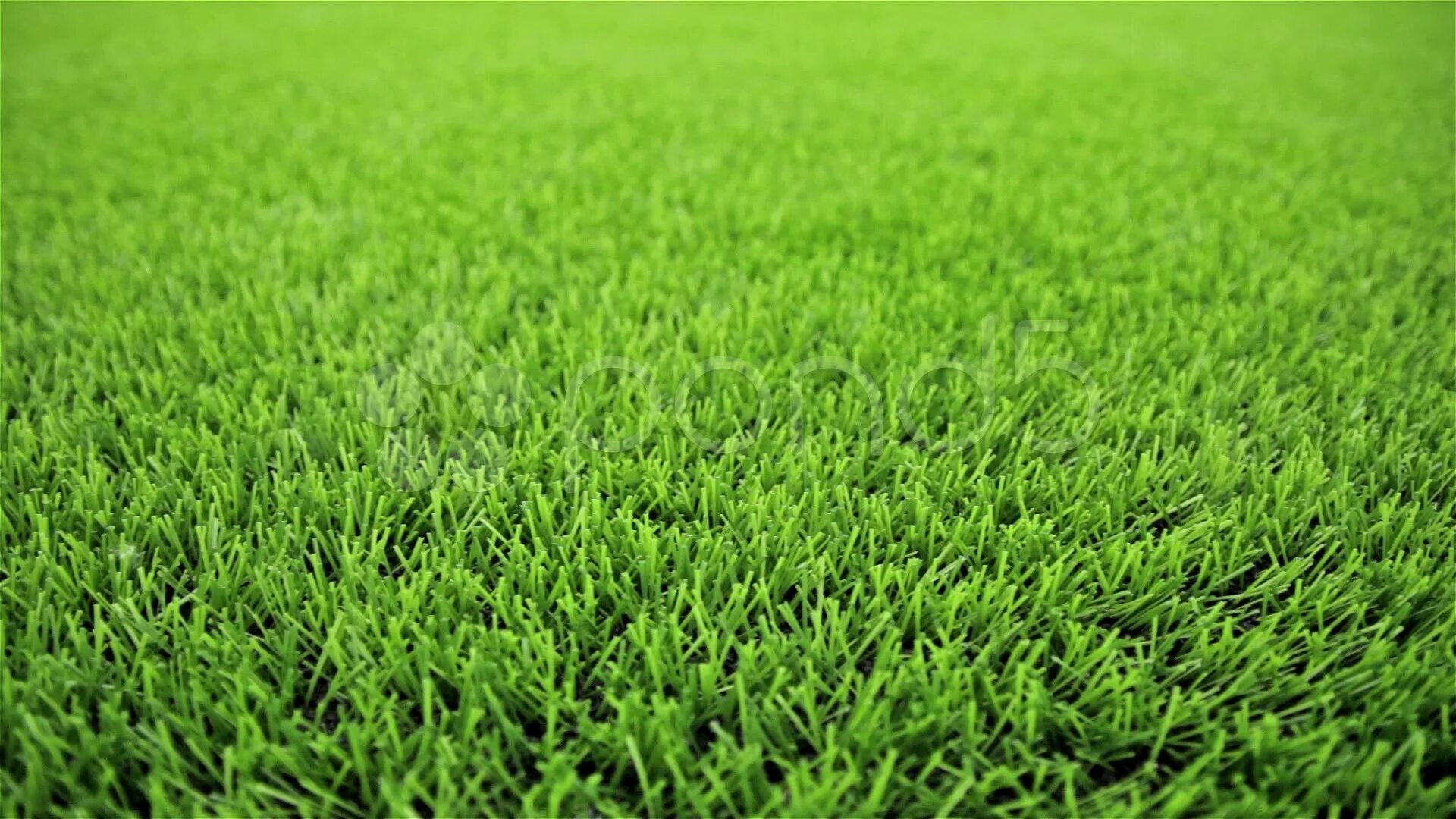 Grass реферал. Трава фон. Зеленая трава. Grass реферал. Grass реферал.