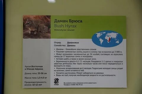 Московский зоопарк документы