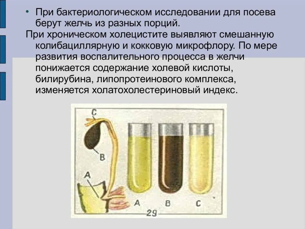 Исследование желчи и дуоденального содержимого. Бактериологическое исследование желчи порции. Микробиологическое исследование желчи.