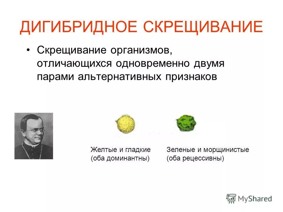 Скрещивание организмов отличающихся. Альтернативных (взаимоисключающих) признаков. Гибридами называют организмы отличающиеся пары альтернативных признаков. Дигибридном скрещивании растений. При скрещивании двух гомозиготных организмов.