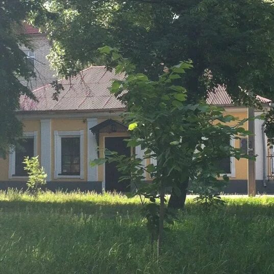 Дом даля в москве. Дом даля. музей даля в луганске. дом музей даля в москве. музей в и даля москва фото комнат.