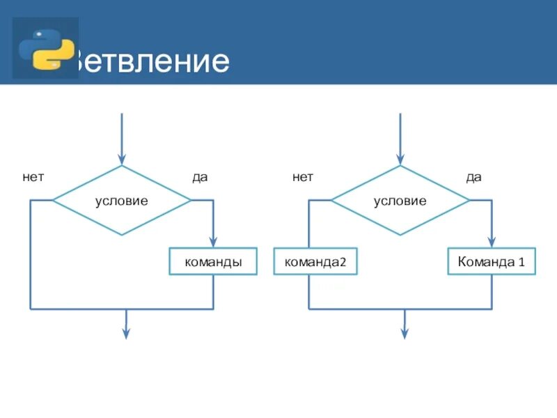 От оператора получен неполный набор тегов. Блок схема условного оператора питон. Оператор ветвления в блок схеме. Структура ветвления в питоне. Блоки схемы алгоритма ветвления в Python.