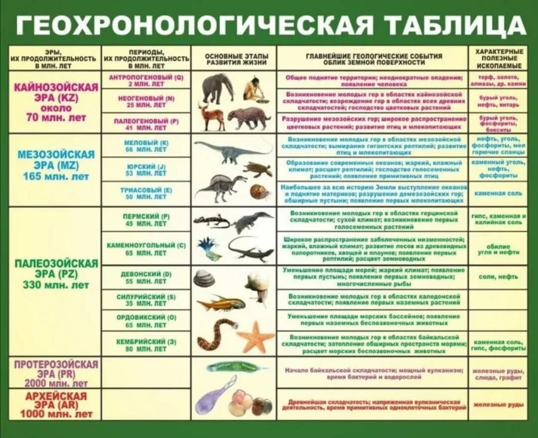 В какую эру и период мы живем. Геохронологическая таблица с эпохами. эры и периоды в развитии жизни на земле таблица с ароморфозами. название эры и периода продолжительность таблица. геохронологическая таблица эволюции земли.