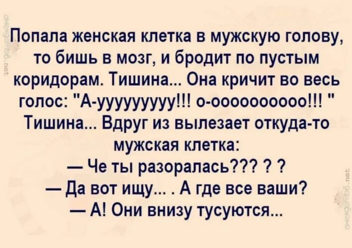 Анекдоты про голова. Анекдот зачем боксеру голова. Топ анекдотов. Шутки про зарплату. Анекдоты про голова.
