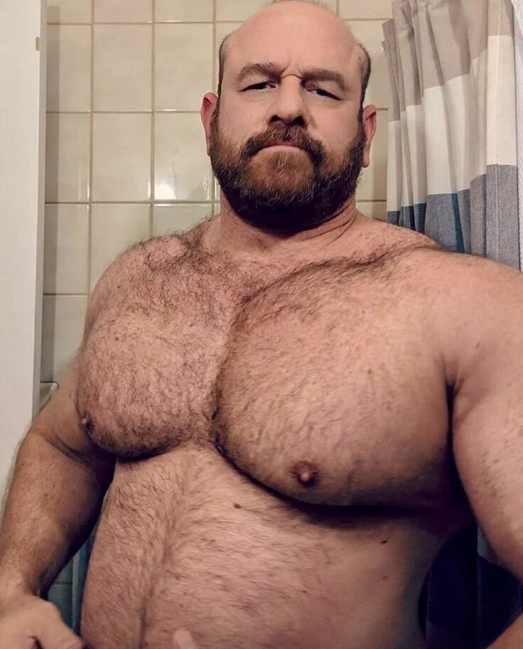 Big мужик Bears. Дэдди Беар. Ginger muscle Bear.