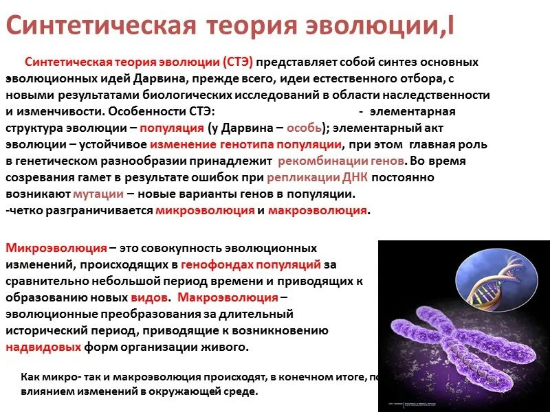 Синтетическая теория эволюции биология 9. Синтетическая теория эволюции микроэволюция. Синтетическая теория э. Положения современной синтетической теории эволюции. Формирование синтетической теории эволюции.