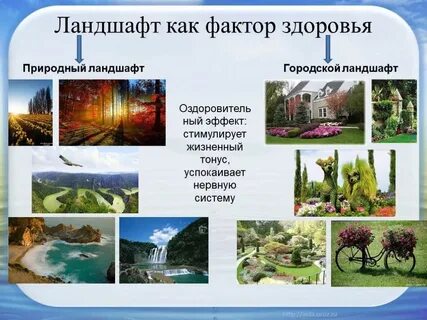 Ландшафт как фактор здоровья