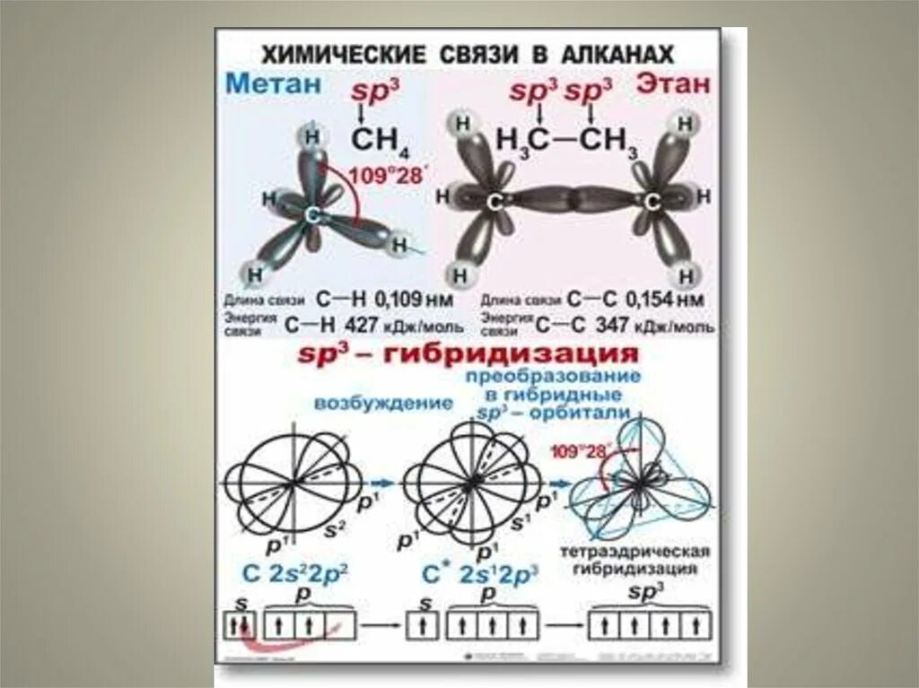 Связи в алканах. Алканы гибридизация. Тип хим связи алканы. Валентный угол в алканах.