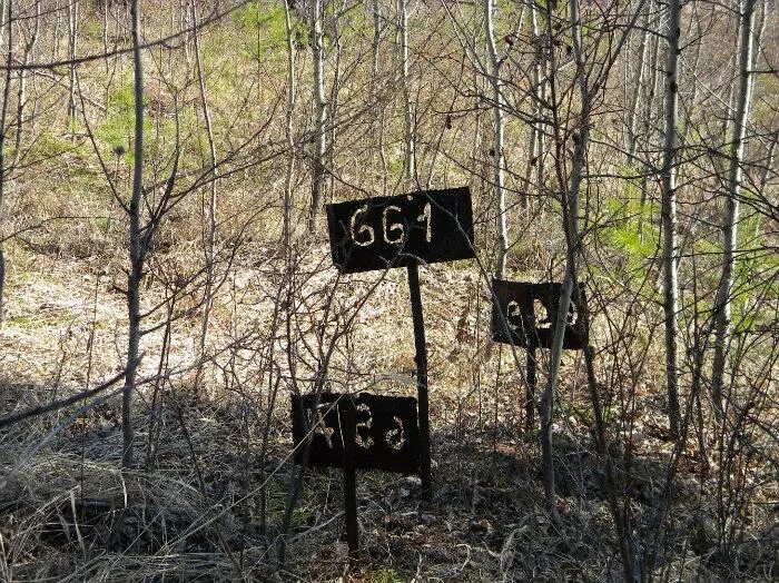 кладбище в россии. кладбище нижегородская область. кладбище безродных. кладбище заключённых. кладбище безродных.