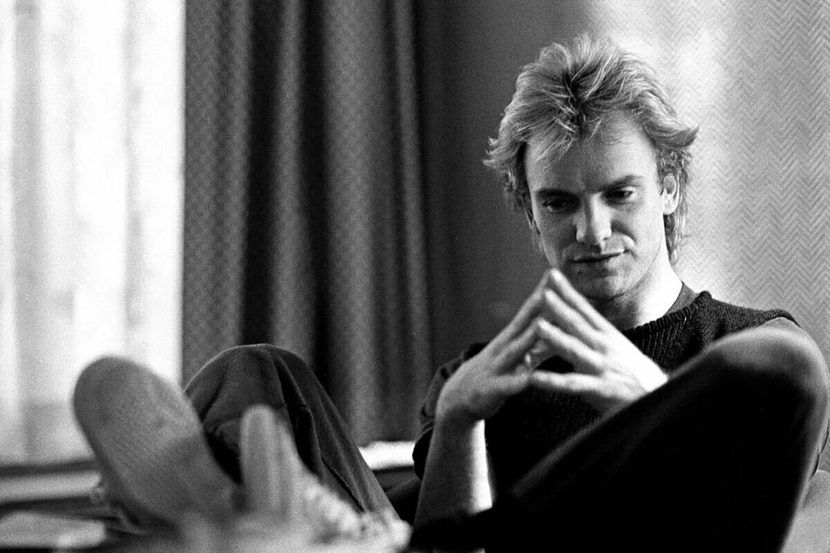 Как сделать стинг из бумаги. Стинг. sting молодой. sting в молодости. стинг певец в молодости.
