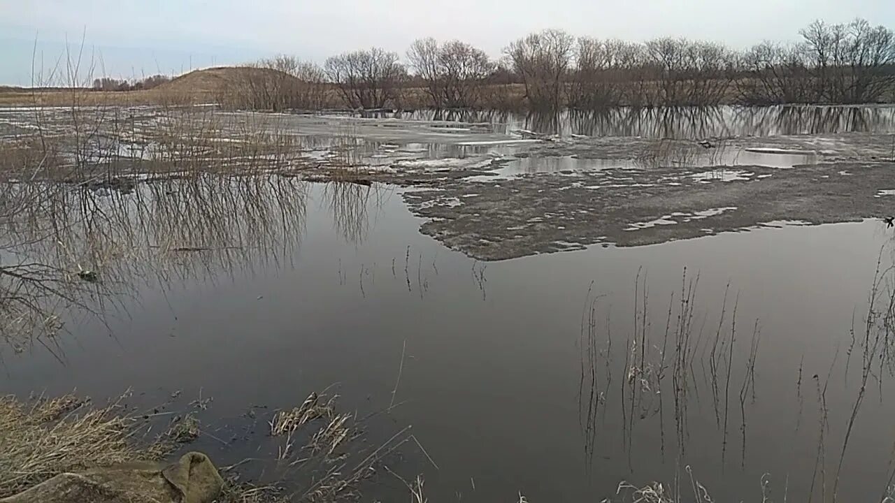 Где вскрылась река. Река Ирбитка. Уша (приток Немана). Река уша. Минеральное озеро у села Згил.