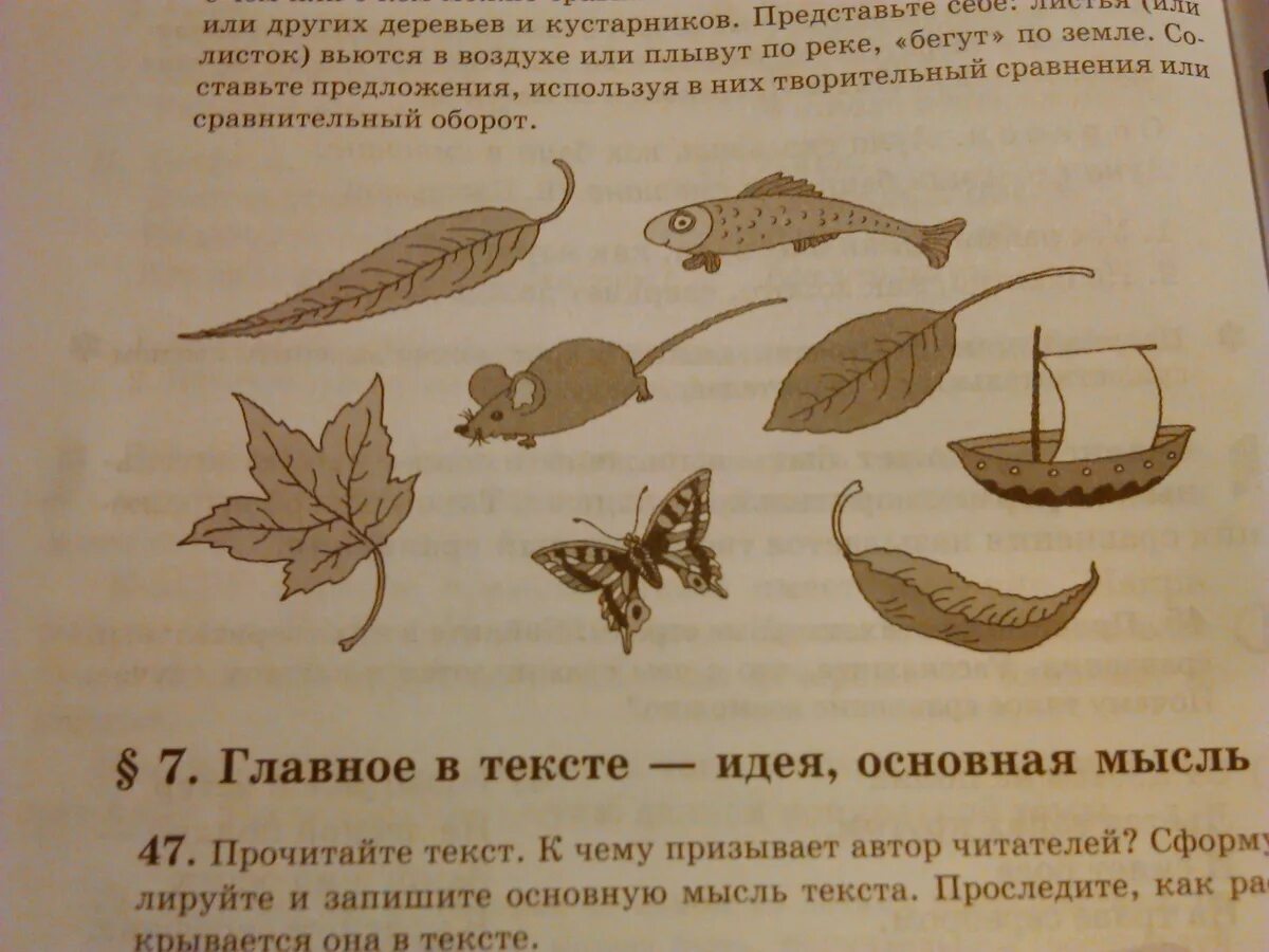 Рассмотри рисунки какой темой они. Этапы появления листка задания для дошкольников. С чем можно сравнить листья. Сравни листочки чем. Лист с чем сравнить.