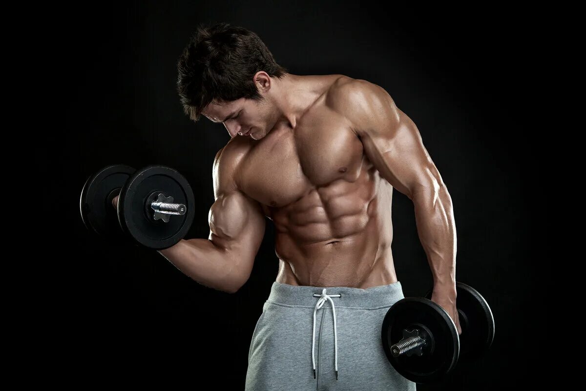 Ve fit