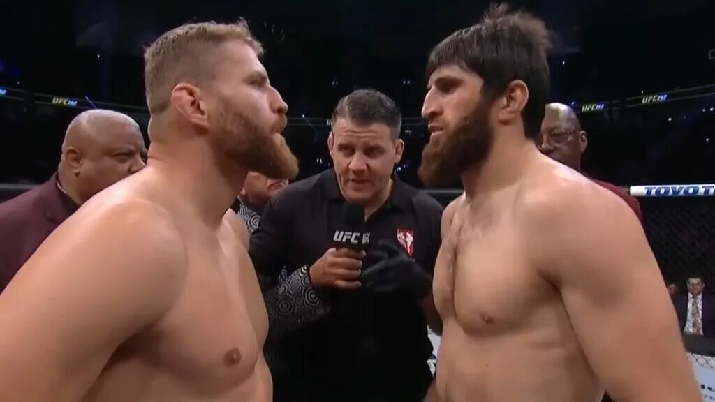 Юфс 282 анкалаев блахович. Дебютанты турнира юфс 282. Магомед анкалаев ufc. Ufc 282. Магомед анкалаев ян блахович.