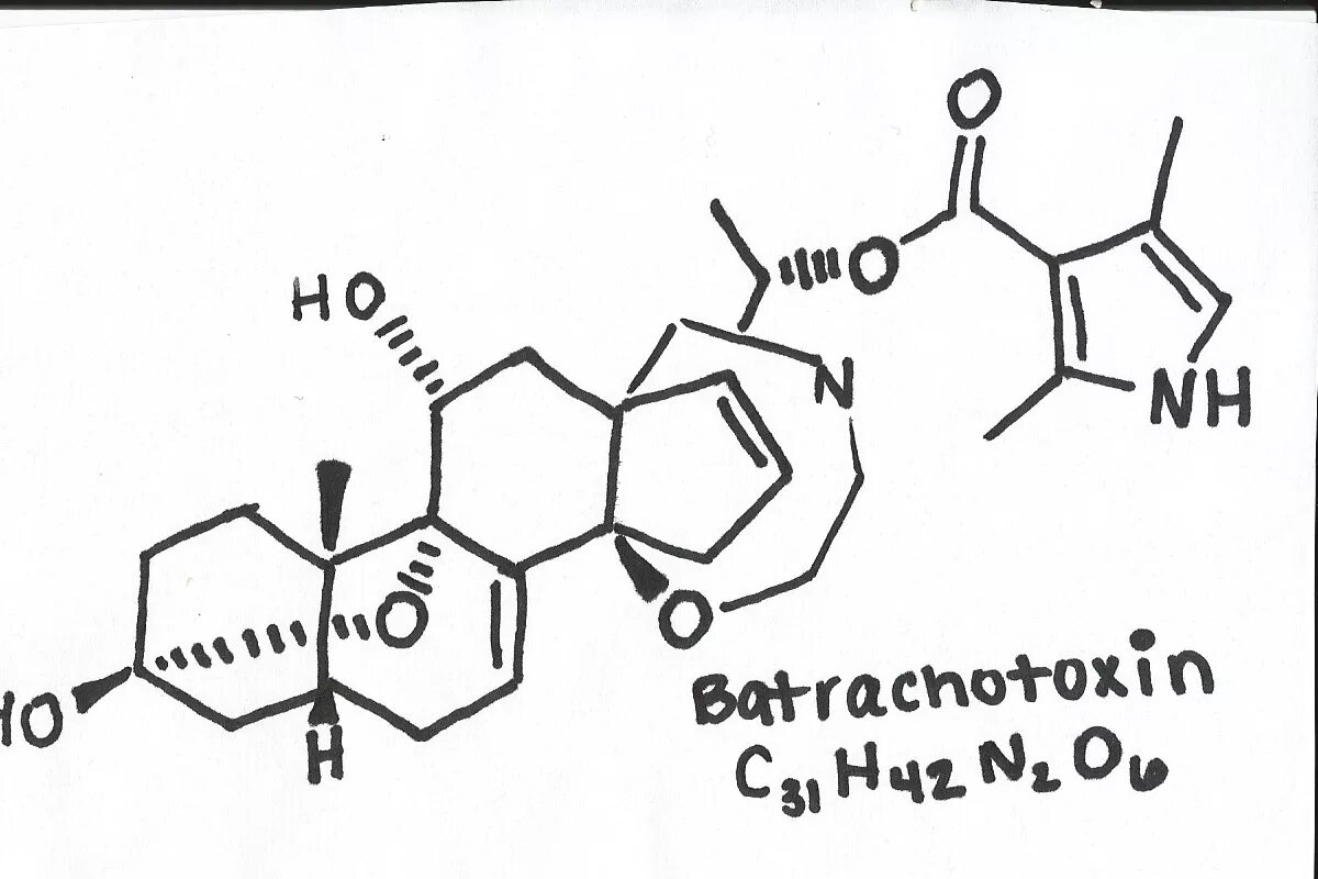 Формула токсичного. Формула змеиного яда химическая. Яд скорпиона формула. Химическая формула ядовитых веществ. Химическая формула нейротоксина.