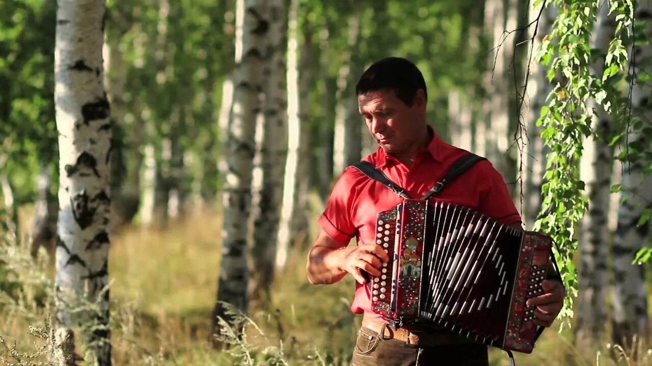 Пой гармошка пой гитара. Баян гармошка гармонист. Гармонь на Руси.