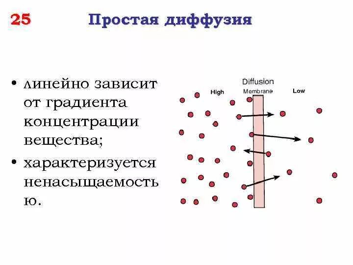Градиент концентрации. Диффузия градиент концентрации. градиент концентрации при диффузии. простая диффузия. диффузия по градиенту концентрации и против.