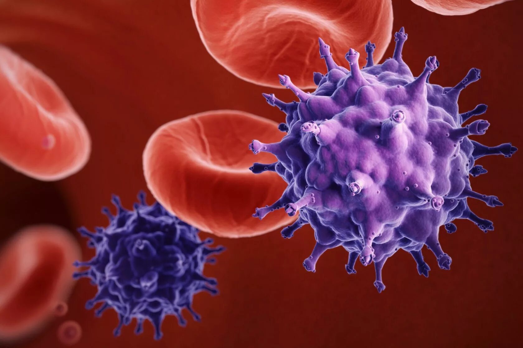 Вич инфекция. Вич инфекция. Вирус вич. Возбудитель спида это вирус. Вирус спида.