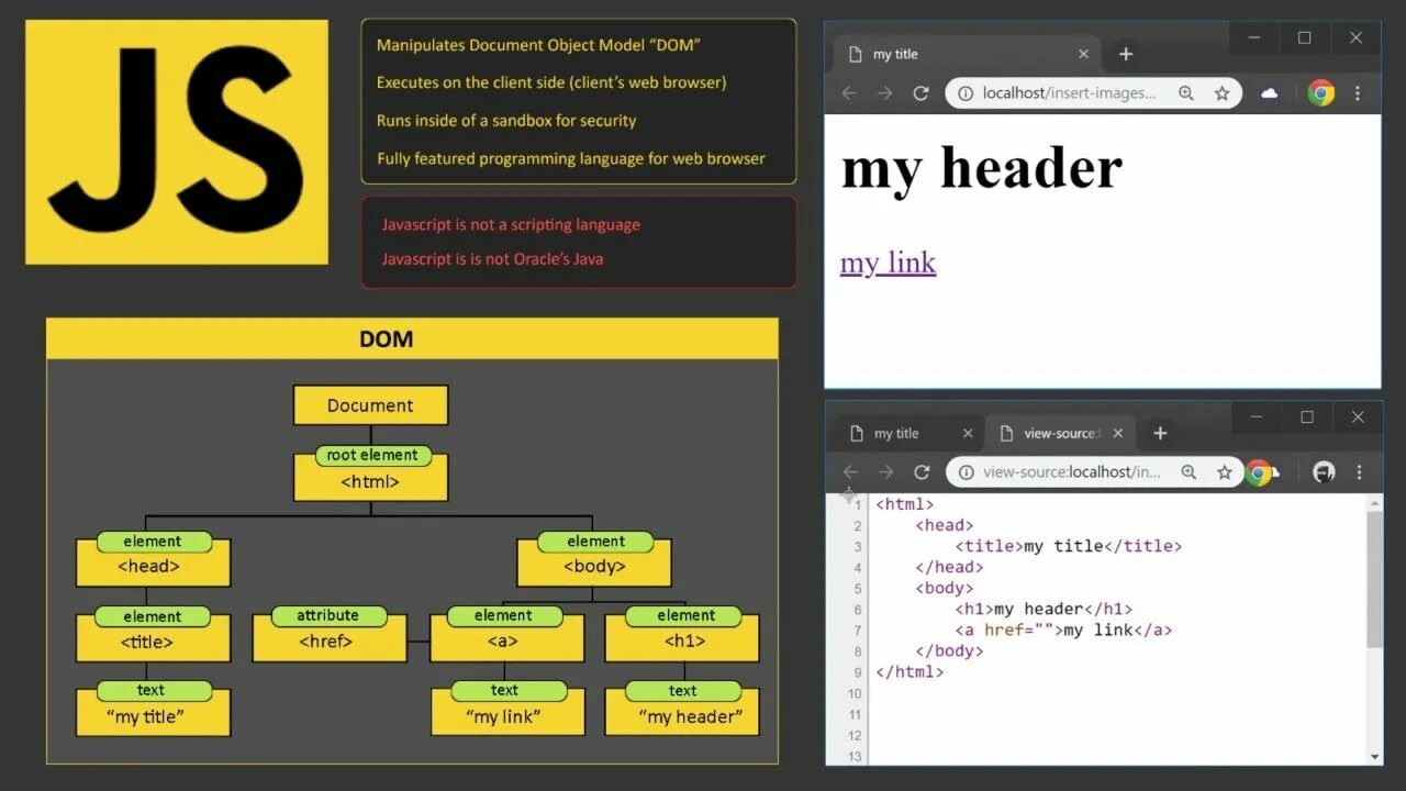 Javascript учится. Learn javascript. what is javascript. javascript tutorial. what is js.