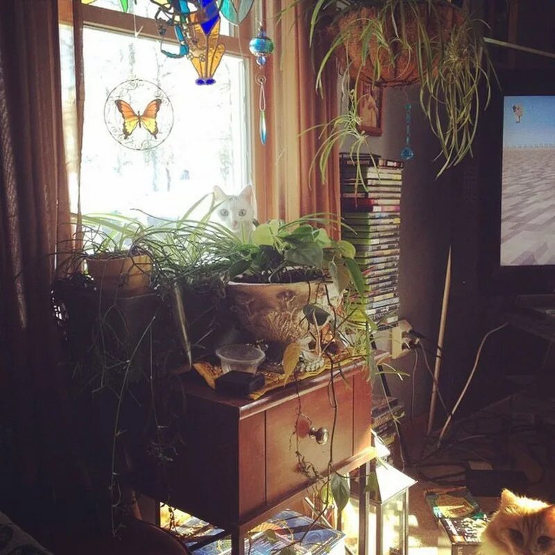 Как пройти найди кота. Найди кота. найди кота на фото. найди кота на мебели. найди кота который спрятался среди хлама.