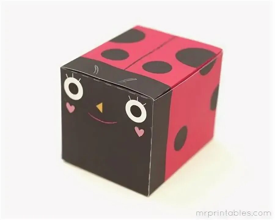 Box bug