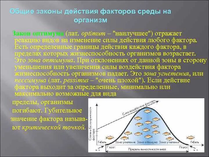 Определенные границы действия каждого фактора