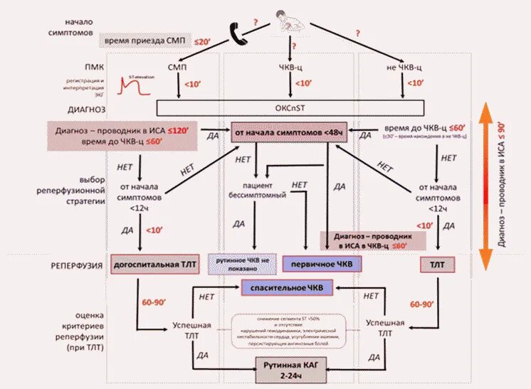 Карта вызова при Окс с подъемом St. Критерии реперфузии миокарда. Методы реперфузии при остром коронарном синдроме с подъемом St. Варианты реперфузии и временные задержки при ИМПST. Орви карта смп