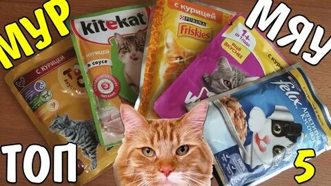 Худшие корма для кошек