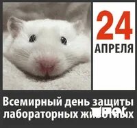 День защиты лабораторных животных