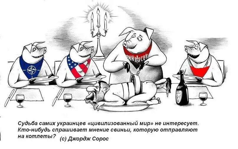 Смешные карикатуры про Хохлов. Украинцы свиньи карикатура.