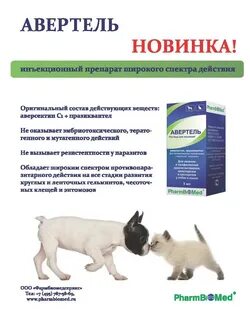 Аверсект 2 кошке