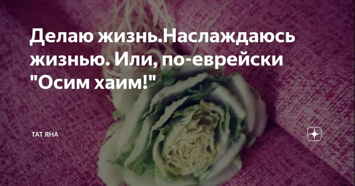 Осим хаим перевод. Осим хаим перевод