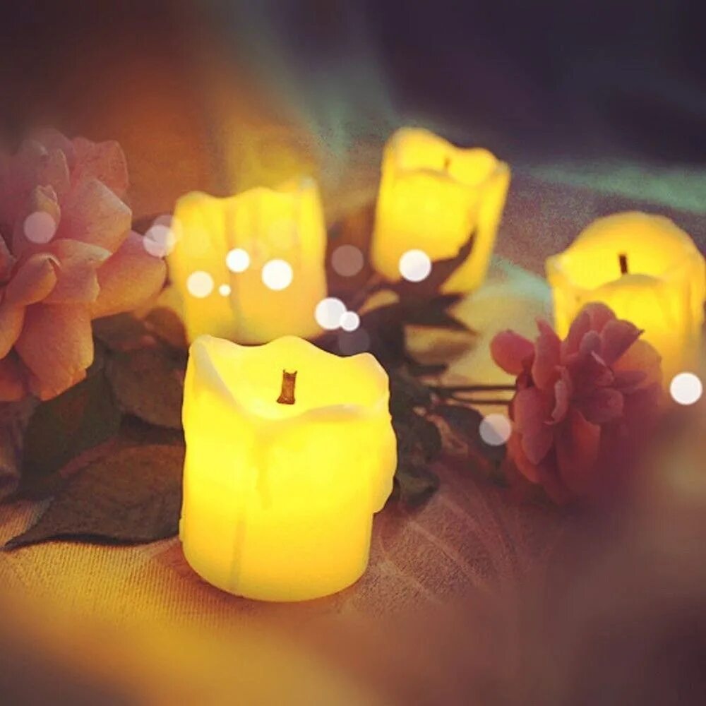 Пахистахис цветок. Ночи в отеле свечи картинки красивые пожеланиями. Желтая свеча. Свечи с цветами. Желтая свеча.