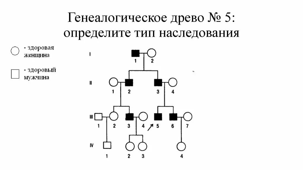 Типы наследования определение. Родословная типы наследования. аутосомно-доминантный тип наследования в родословной. родословная голандрического типа наследования. генеалогическое древо x-сцепленный рецессивный тип наследования.