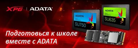 Dns shop ssd диски