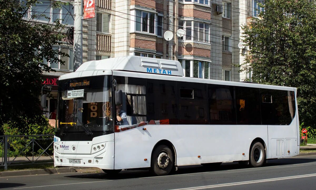 393 кострома никольское. КАВЗ 4270 Кострома. Автобус 101 Кострома Караваево. 102 Автобус Кострома. КАВЗ 4270 Санкт Петербург.