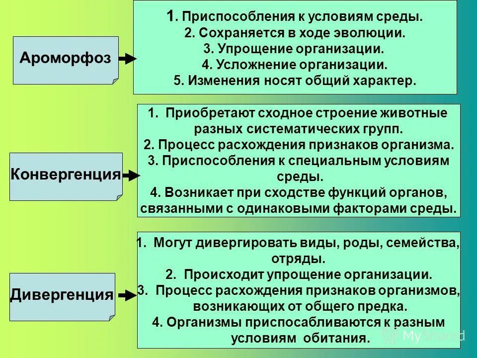 Приспособительные изменения возникшие