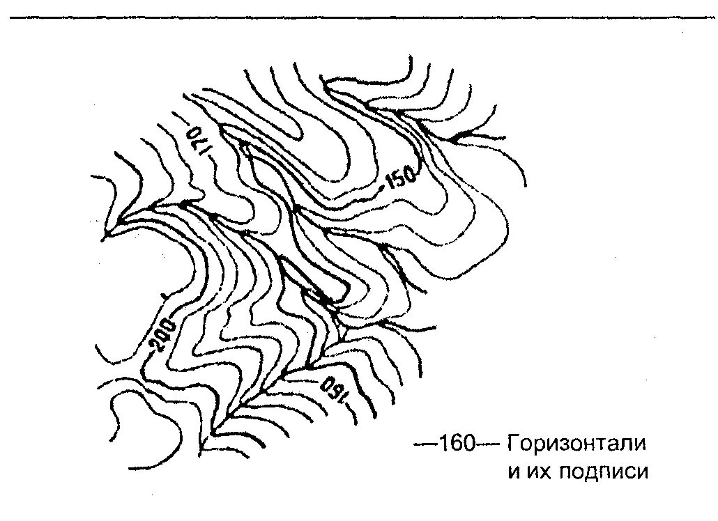 Линии горизонтали рисунок. Способ изолиний в картографии. Способ изолиний и псевдоизолиний. Способ псевдоизолиний в картографии. Способ изолиний в картографии примеры.