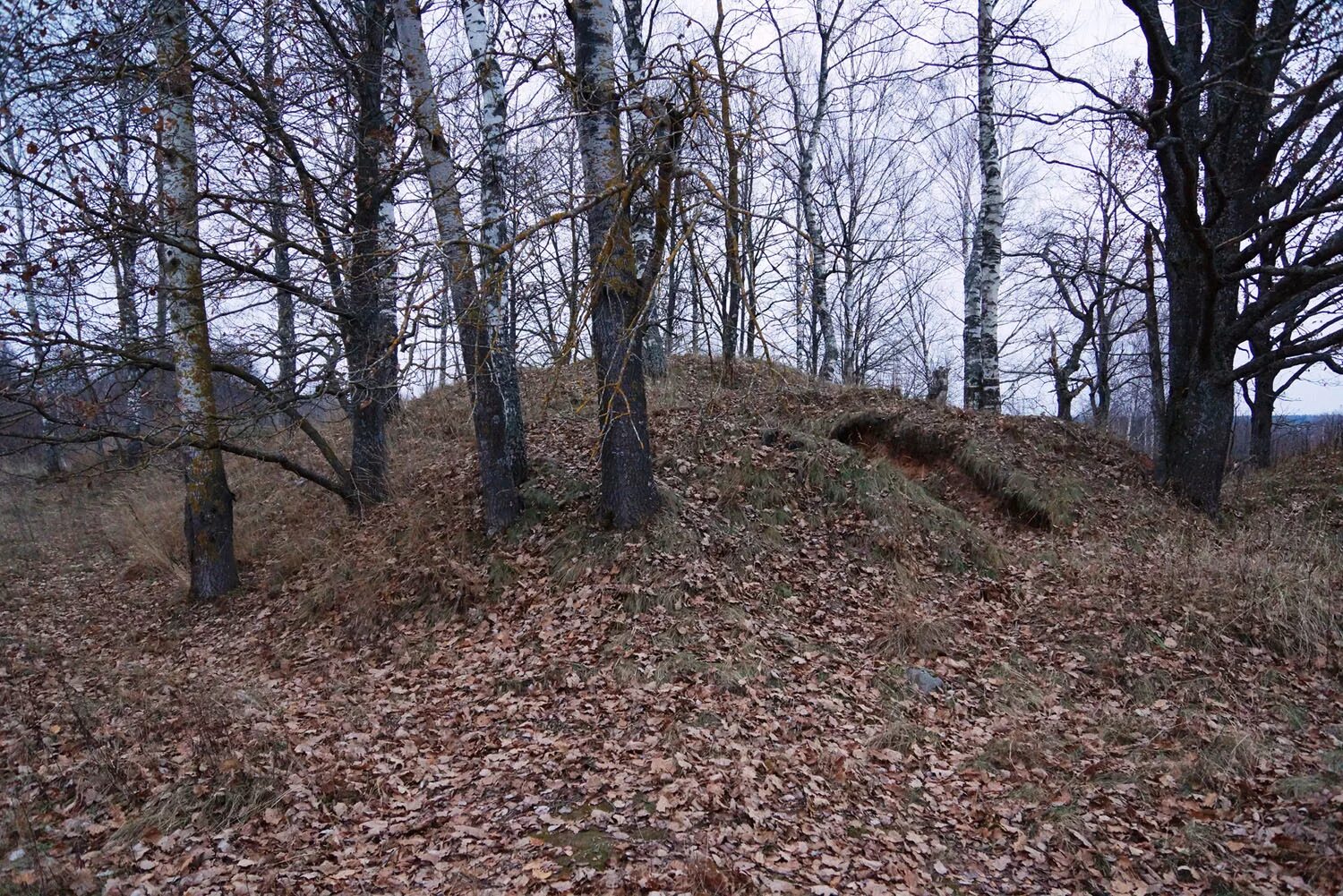 Деревня могильники