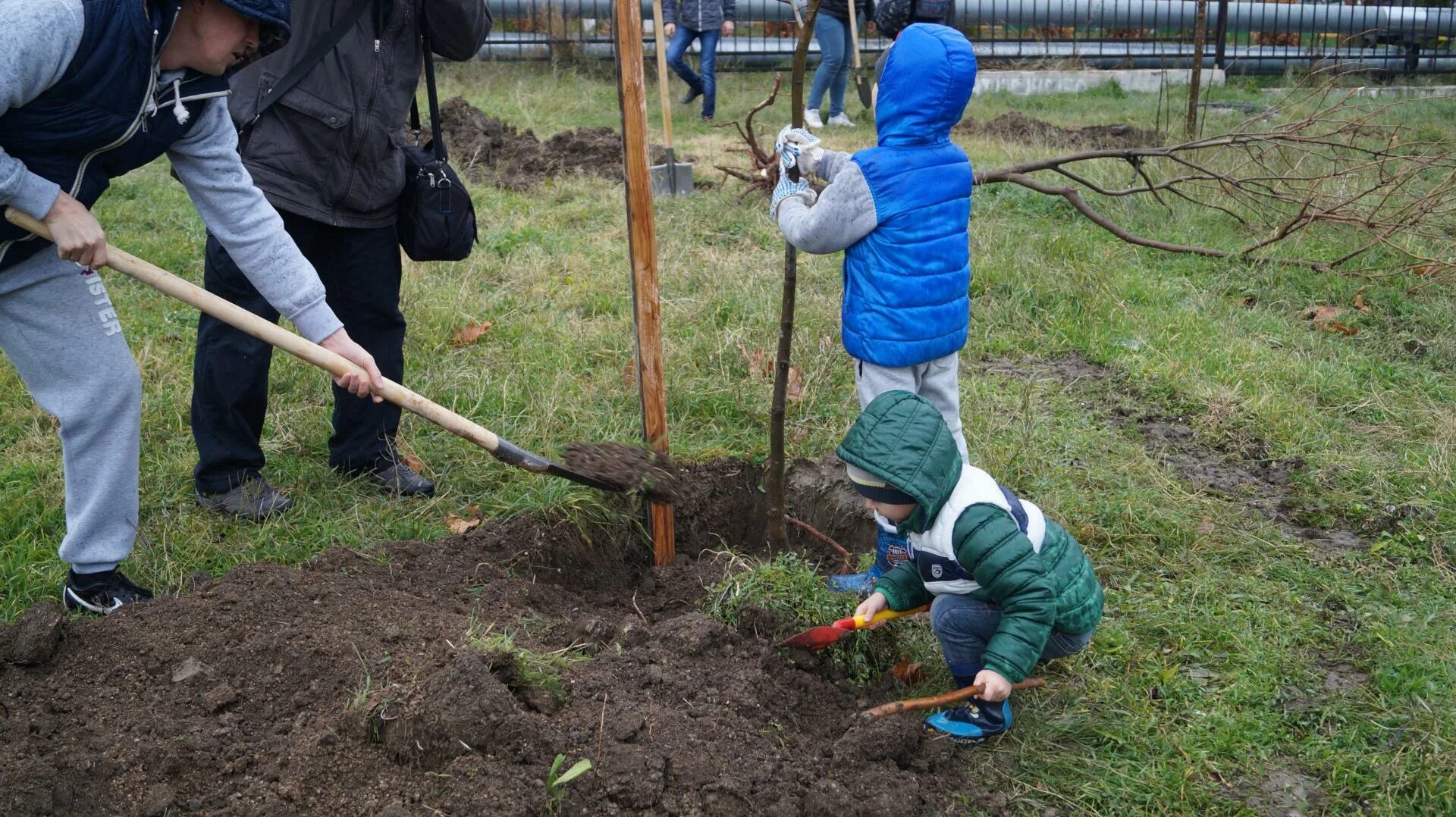 Посади дерево область. Высадка деревьев. Субботник посадка деревьев. Школьники сажают деревья. Субботник сажать деревья.