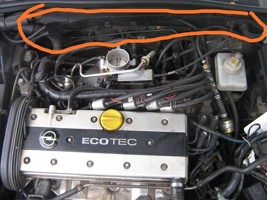 Омега б 2.2 бензин. Опель Вектра x20xev. Опель Вектра б 1.6 8 клапанный. 1,8 Мотор на опеле Вектра. Двигатель Opel x20xev.