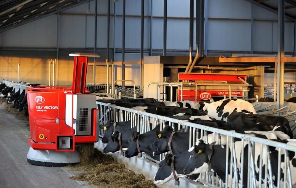 доильный зал елочка делаваль. машины и оборудование в животноводстве. стационарные кормораздатчики для ферм крс. ферма (сельское хозяйство). машины и оборудование в животноводстве.