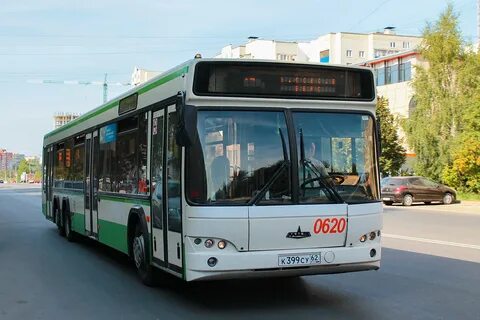 Борки автобус